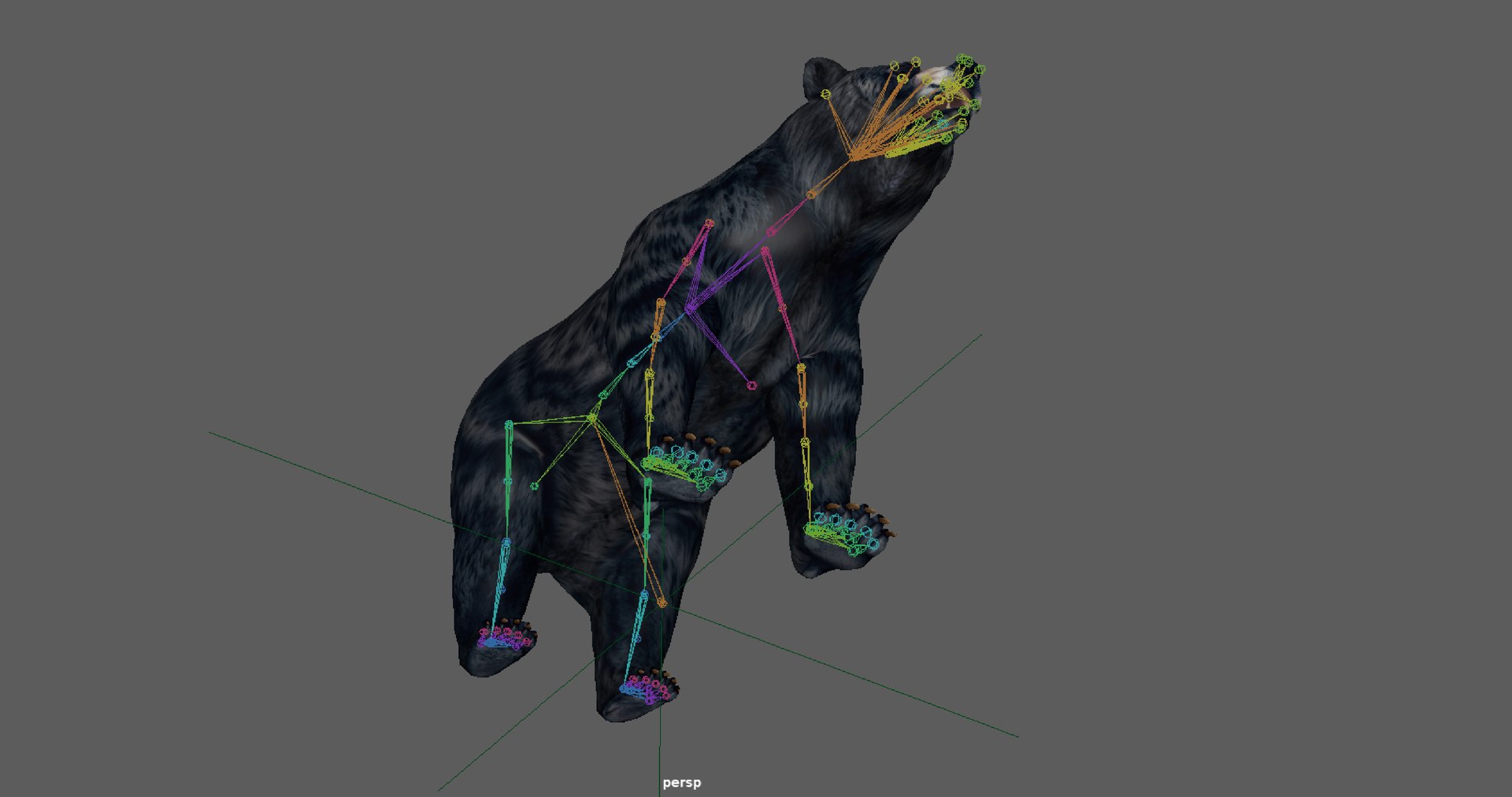 Black Bear Rig Model - TurboSquid 2318265