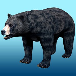 Black Bear Rig model