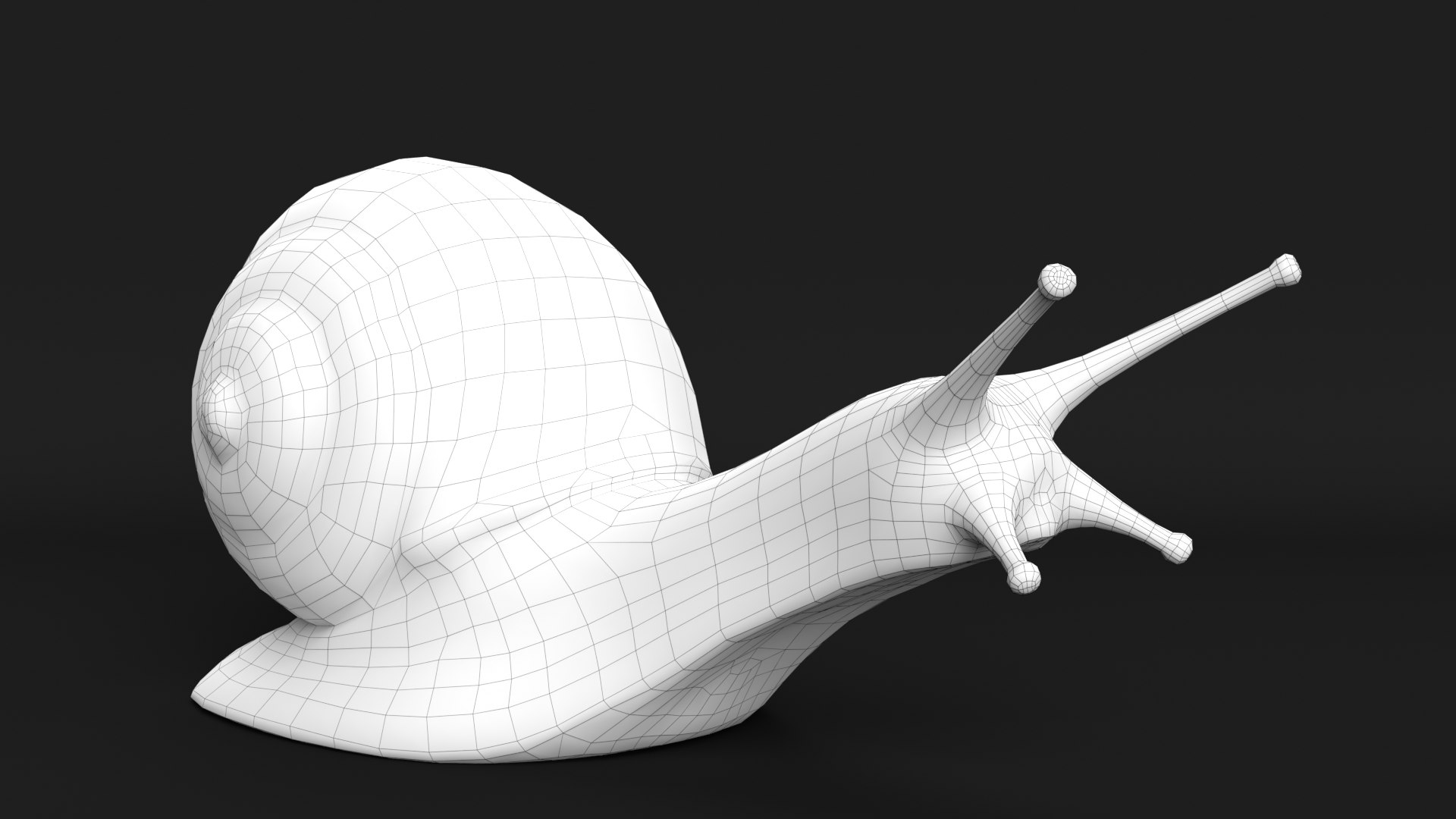 Snail Nature Animal 3D Model - TurboSquid 1605465