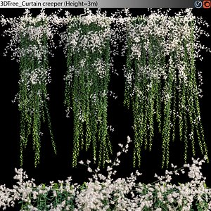 3D Curtain creeper Vernonia Elliptica 06
