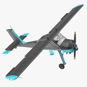 3D American Light Aircraft Black Rigged