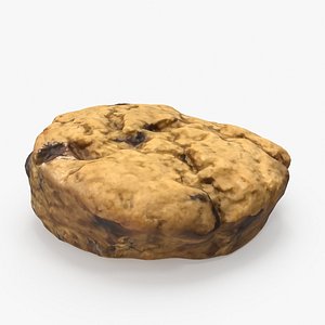 tea biscuit model