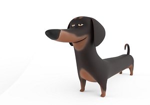 cute dog model