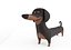 Cute Dog character - Dachshund