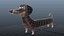 Cute Dog character - Dachshund