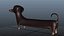 Cute Dog character - Dachshund