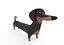 Cute Dog character - Dachshund