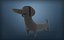 Cute Dog character - Dachshund