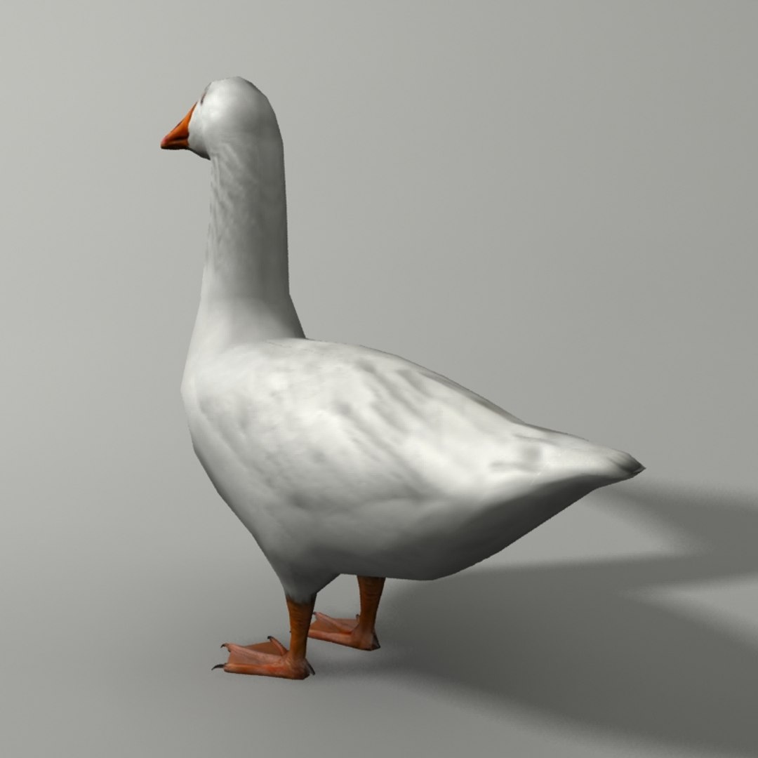 goose 3ds https://p.turbosquid.com/ts-thumb/Du/Xn6xwG/7qF36opp/g2/jpg/1446407584/1920x1080/fit_q87/81639d91e26cbc34223b655c653f550f597cff68/g2.jpg