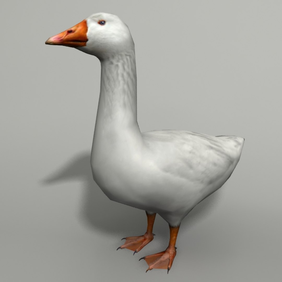 Horrible Goose