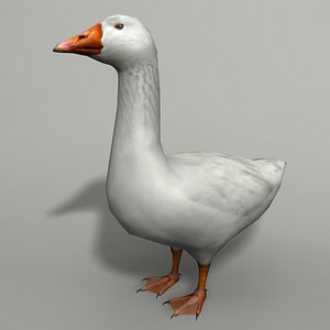 Goose