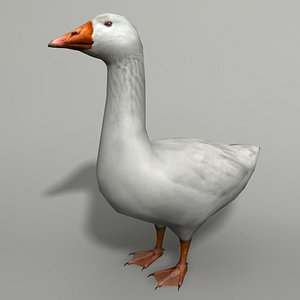Goose