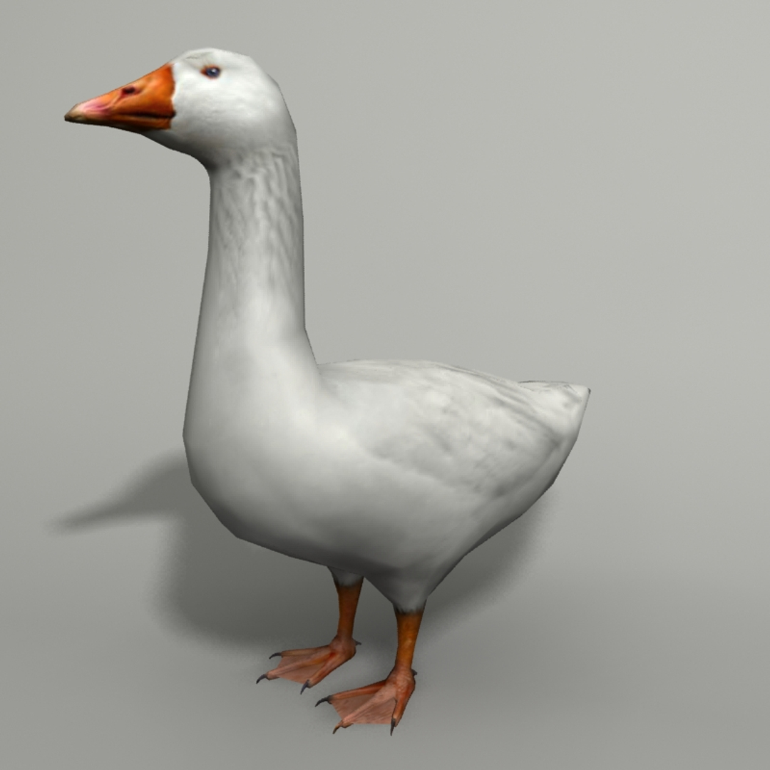 goose 3ds https://p.turbosquid.com/ts-thumb/Du/Xn6xwG/m1qr7NnF/01/jpg/1446408176/1920x1080/turn_fit_q99/2e9b9819f60ddddcc65c6e018a2213624678f632/01-1.jpg