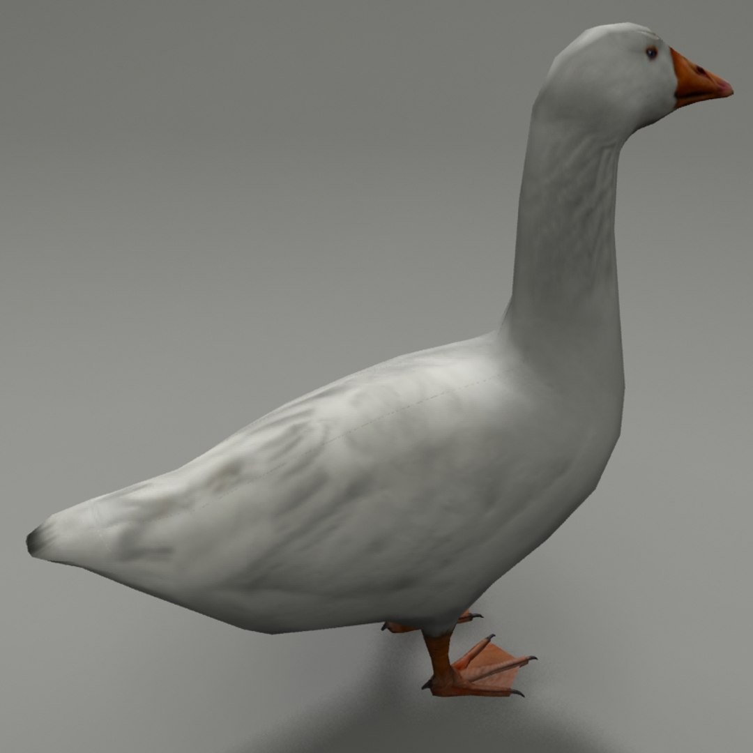 goose 3ds https://p.turbosquid.com/ts-thumb/Du/Xn6xwG/qnFyAVbl/g3/jpg/1446407584/1920x1080/fit_q87/dfd332ba40878925ef5492c1098ae32910c60f1b/g3.jpg