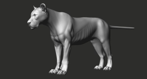 Lion realistic zbrush model - TurboSquid 1314708