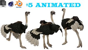 3D Ostrich model