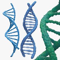 DNA Double Helix Structure Models Blue