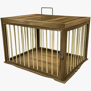 3D old cage