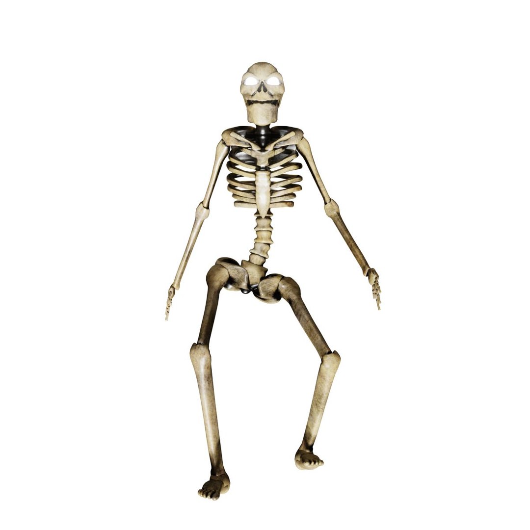 3D model LowPolySkeletonRigged https://p.turbosquid.com/ts-thumb/Dv/4pfJlA/IU/skeletonsearchimage/jpg/1665276443/1920x1080/fit_q87/40a6df960108228d70c11b0a8cc115a6b80c6b6a/skeletonsearchimage.jpg