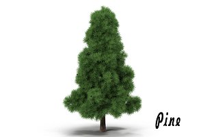 pine max