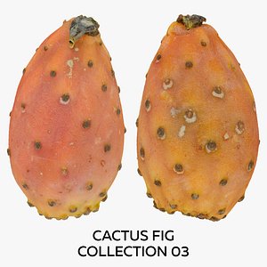3D model Cactus Fig Collection 03 - 2 models RAW Scans