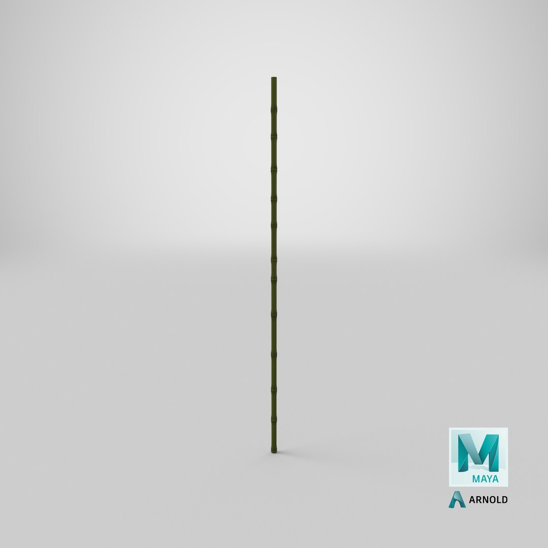 3D model bamboo bo staff https://p.turbosquid.com/ts-thumb/Dv/UbtC87/LoEMF5Pm/stemcell_maya_arnold_render/png/1572544930/1920x1080/fit_q87/0893526c9a70860ee669351d8bc139749bc71acf/stemcell_maya_arnold_render.jpg