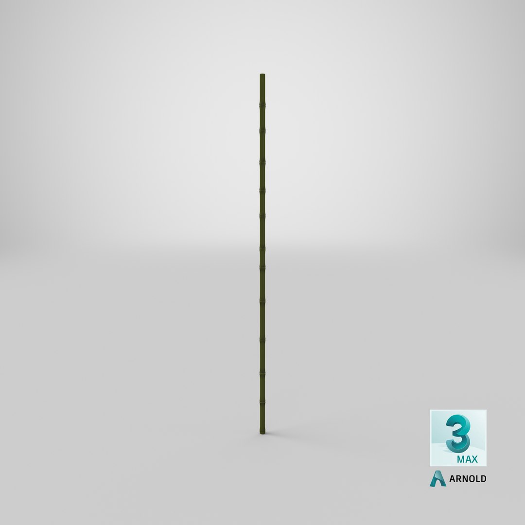 3D model bamboo bo staff https://p.turbosquid.com/ts-thumb/Dv/UbtC87/VirfkIYZ/stemcell_max_arnold_render/png/1572544918/1920x1080/fit_q87/eec6acd4f0cedf2873418230f745592188353c44/stemcell_max_arnold_render.jpg