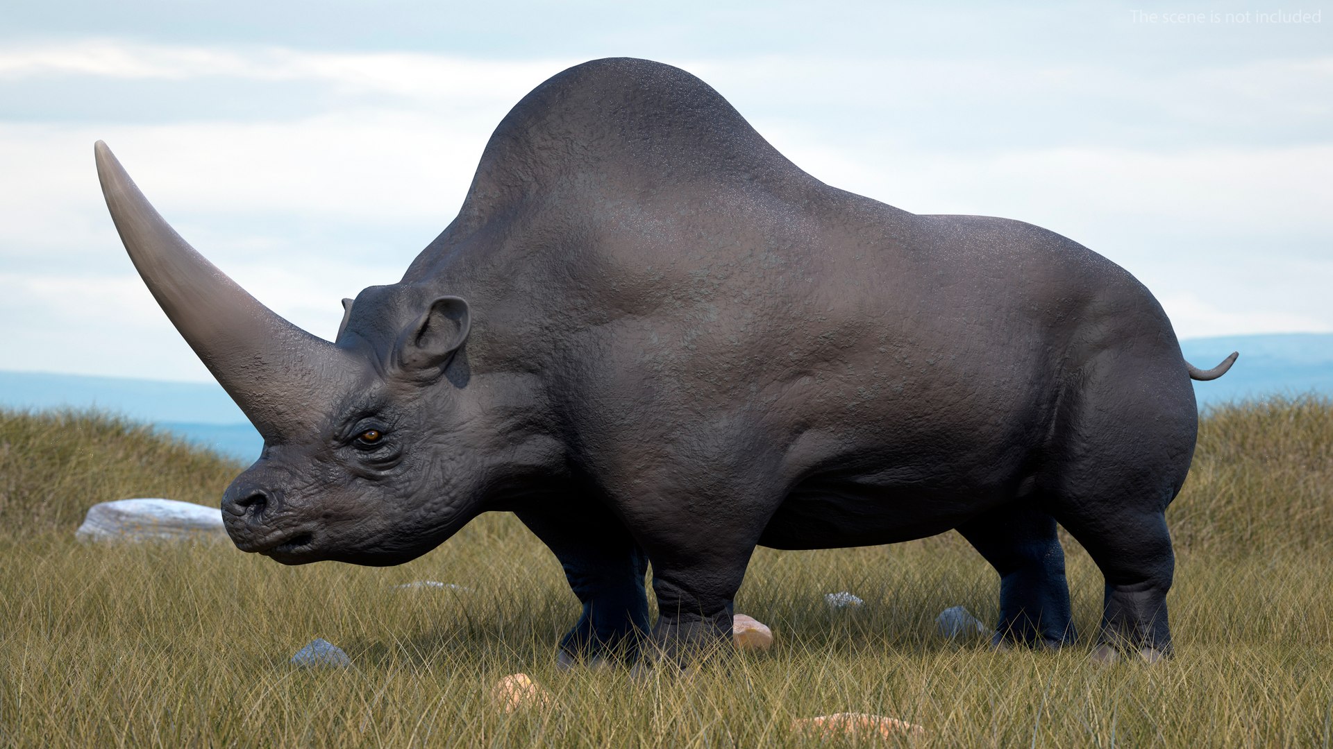 Elasmotherium Rigged for Cinema 4D 3D model preview