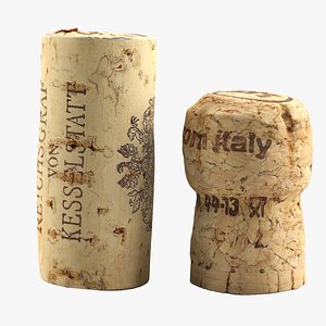 corks 3d max