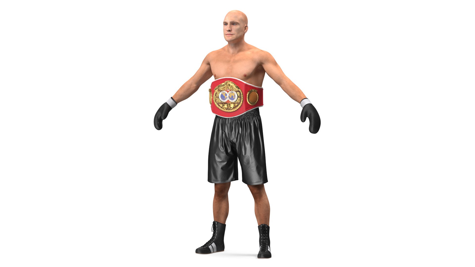 IBF Boxing Champion Rigged 3D model preview