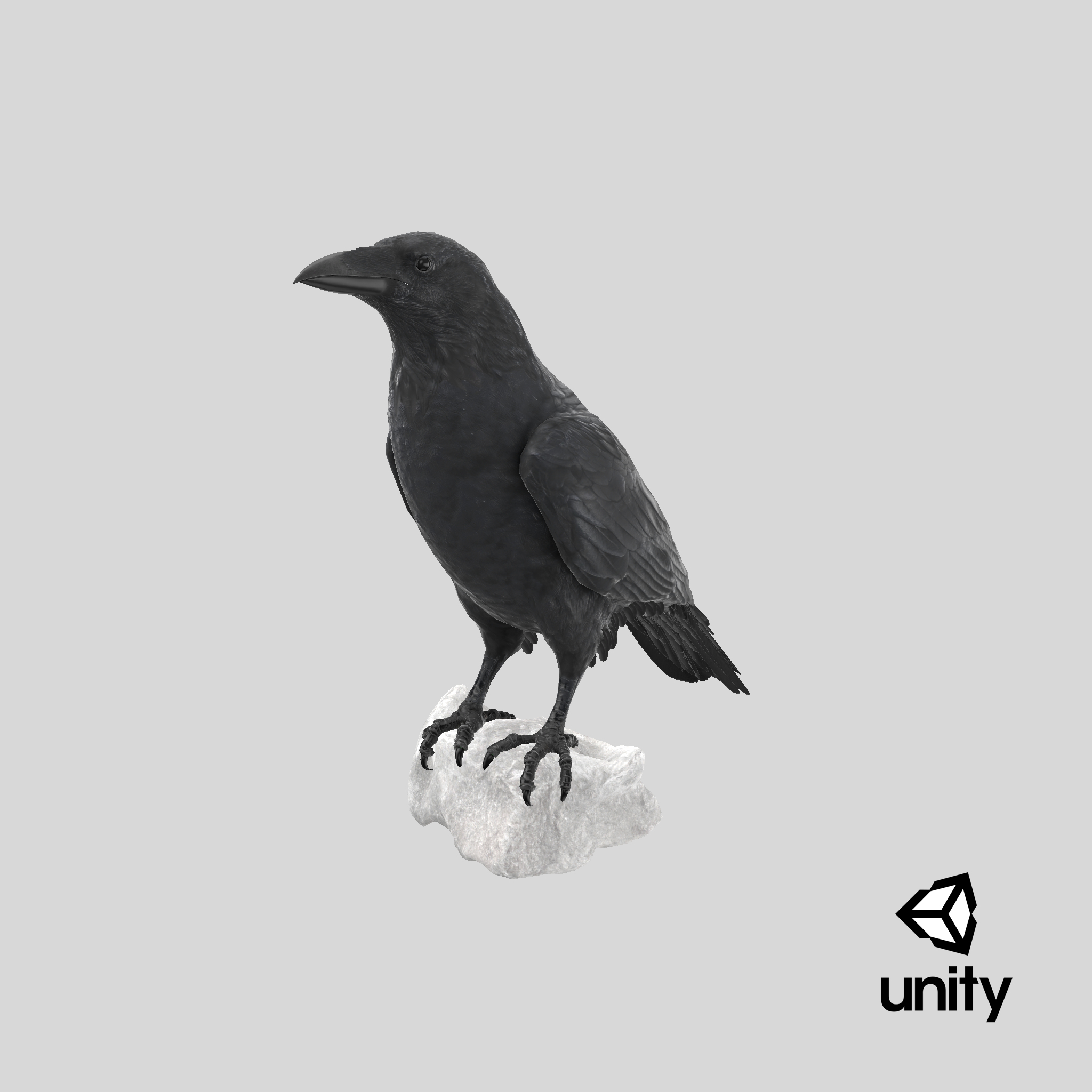 3D Raven model - TurboSquid 1781178