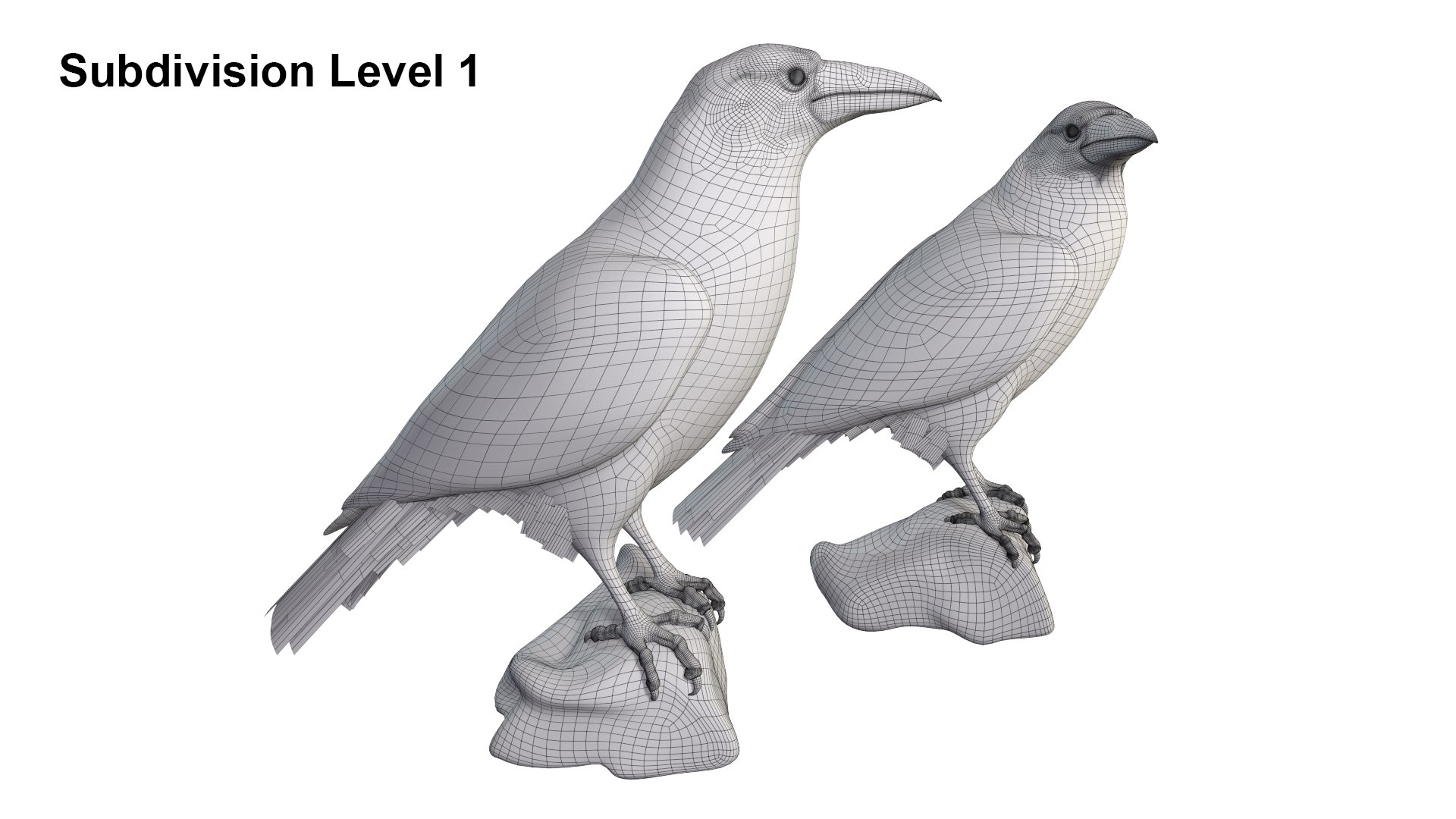 3D Raven Model - TurboSquid 1781178