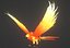 Anime Phoenix