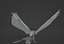 Anime Phoenix