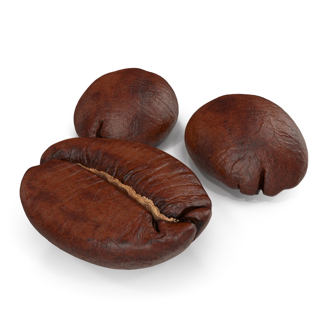 Roasted Coffee Bean 3D model preview