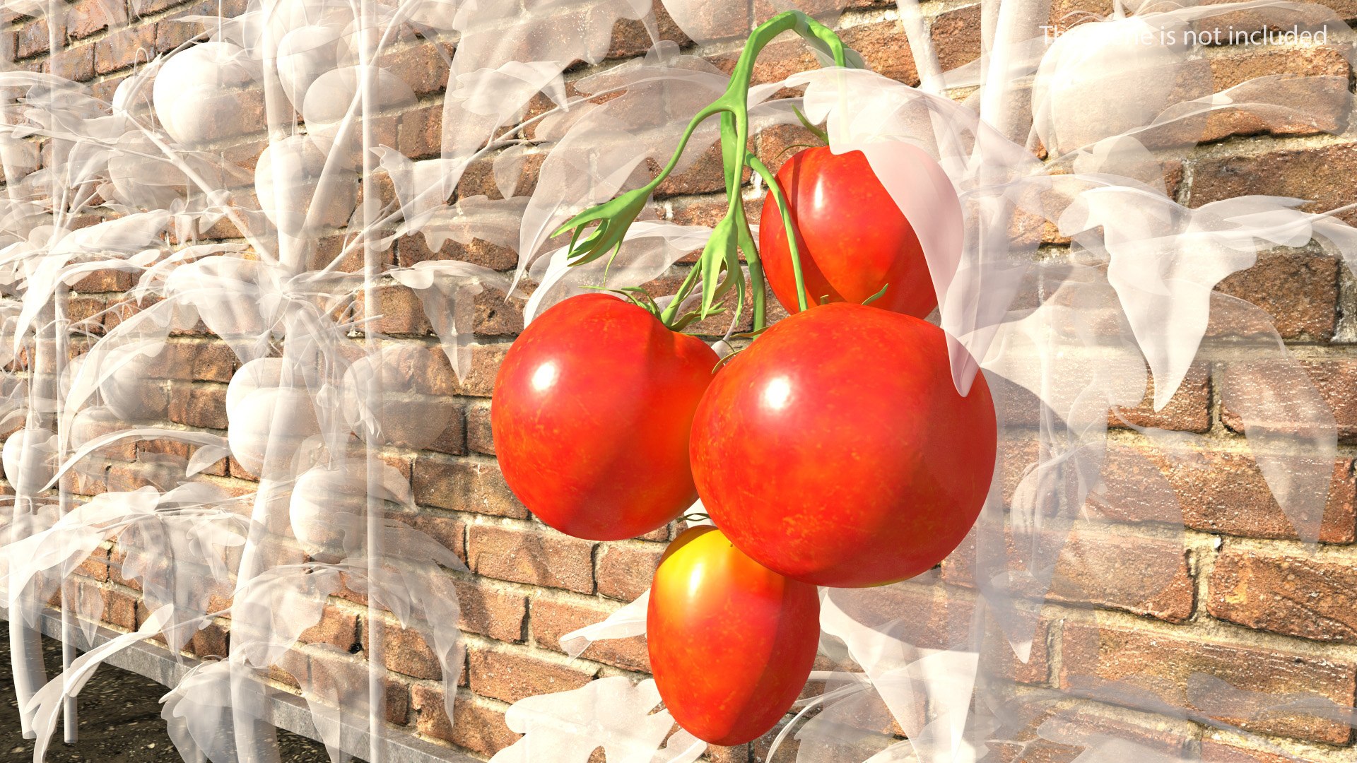Bunch of Tomatoes 3D model preview