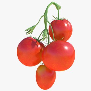3D bunch tomatoes