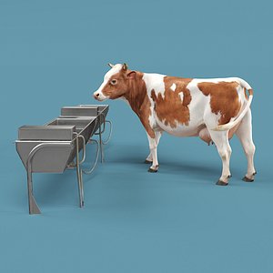 Cattle Water Bowl and Cow 3D model