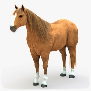 horse lightbrown 3D
