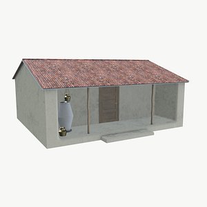 Village House 3D model