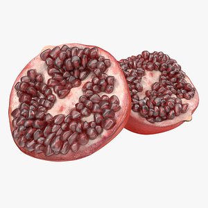 Pomegranate Cross Section 3D Model