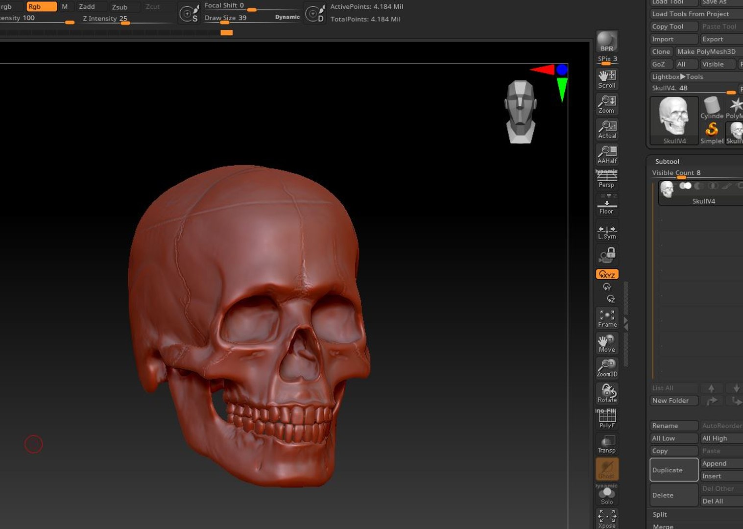 human skull v4 3D model https://p.turbosquid.com/ts-thumb/Dw/IuW2JH/KuXrCGWi/zbrush/jpg/1607648033/1920x1080/fit_q87/25a09fc78c567dc00747eab80c9b5de6e73a3d6a/zbrush.jpg