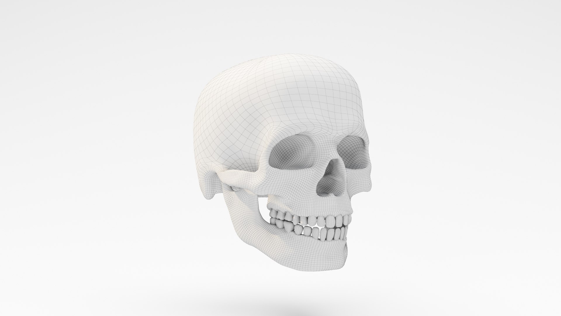human skull v4 3D model https://p.turbosquid.com/ts-thumb/Dw/IuW2JH/jFKl4Xjy/wire_01/jpg/1607648033/1920x1080/fit_q87/acaac16971d509de0bec96b91a25bdbad0a27d02/wire_01.jpg