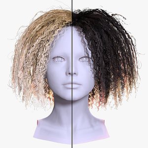 3D MessyCurly Afro Hair -Voluminous 3D Female Hairstyle model