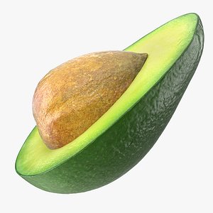 avocado half seed 3D
