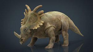 triceratops dinosaur model