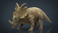 Triceratops