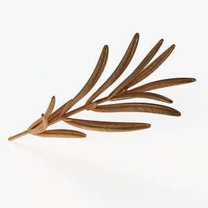 rosemary print modeled 3D model
