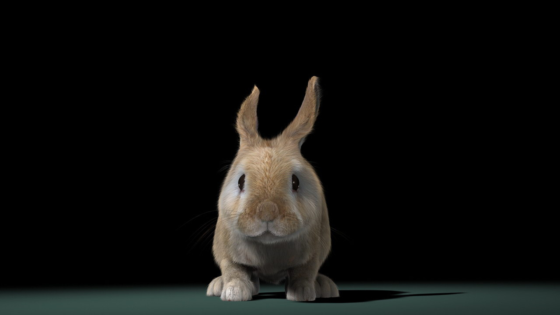 3d model rabbit cream fur animation
