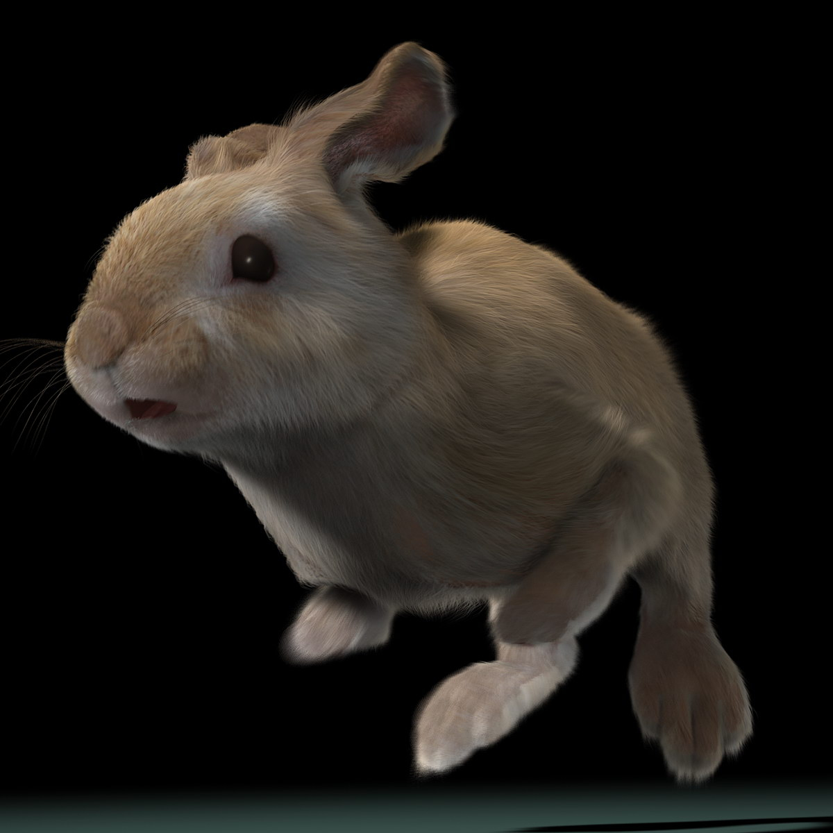 3d model rabbit cream fur animation